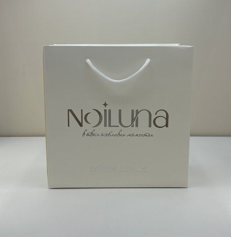 Пакет фірмовий Noiluna (Pack 20) 20x20 см Pack 20 N фото