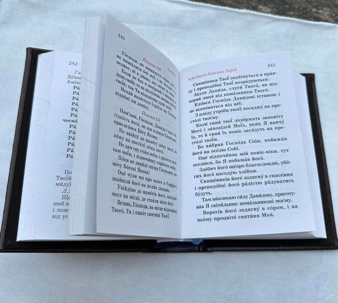 Молитвенник с серебряной иконой (код 006 SF) 15.5*11 см 006 SF фото